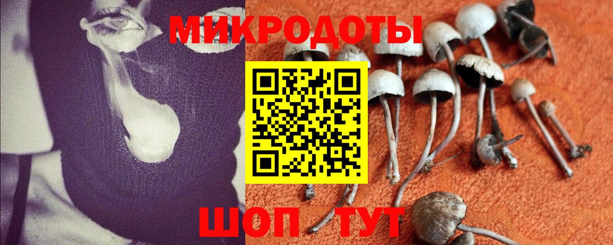 Камышлов  Галлюциногенные грибы мухоморы  Вход с VPN 