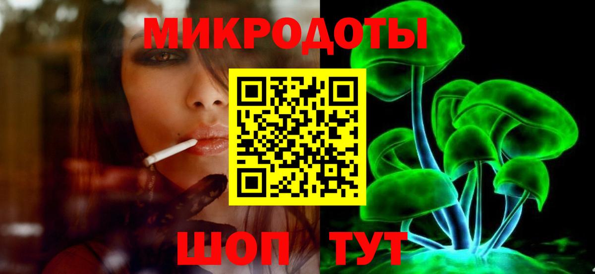 Псилоцибиновые грибы Psilocybe Камышлов